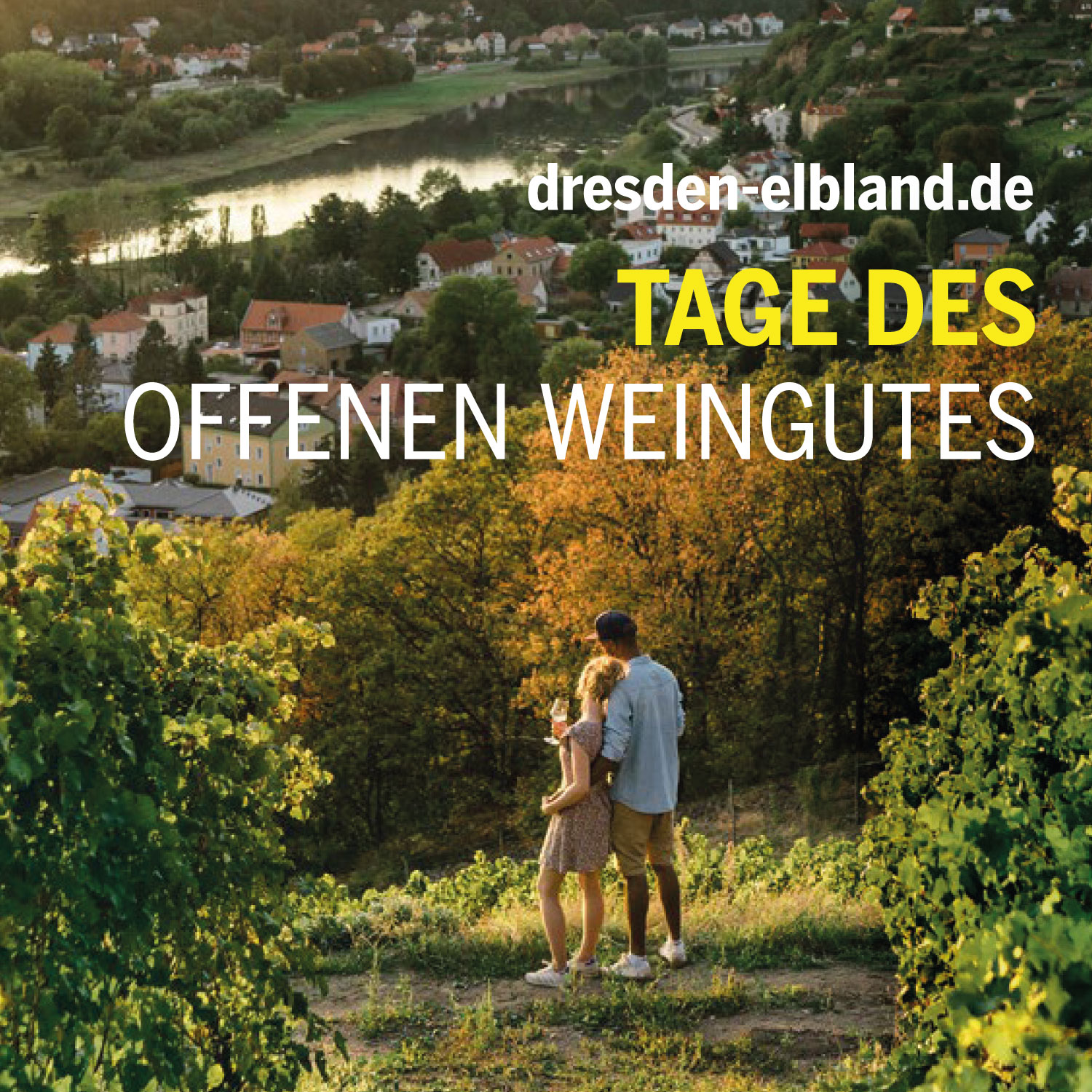 Tage des offenen Weingutes Bild: 