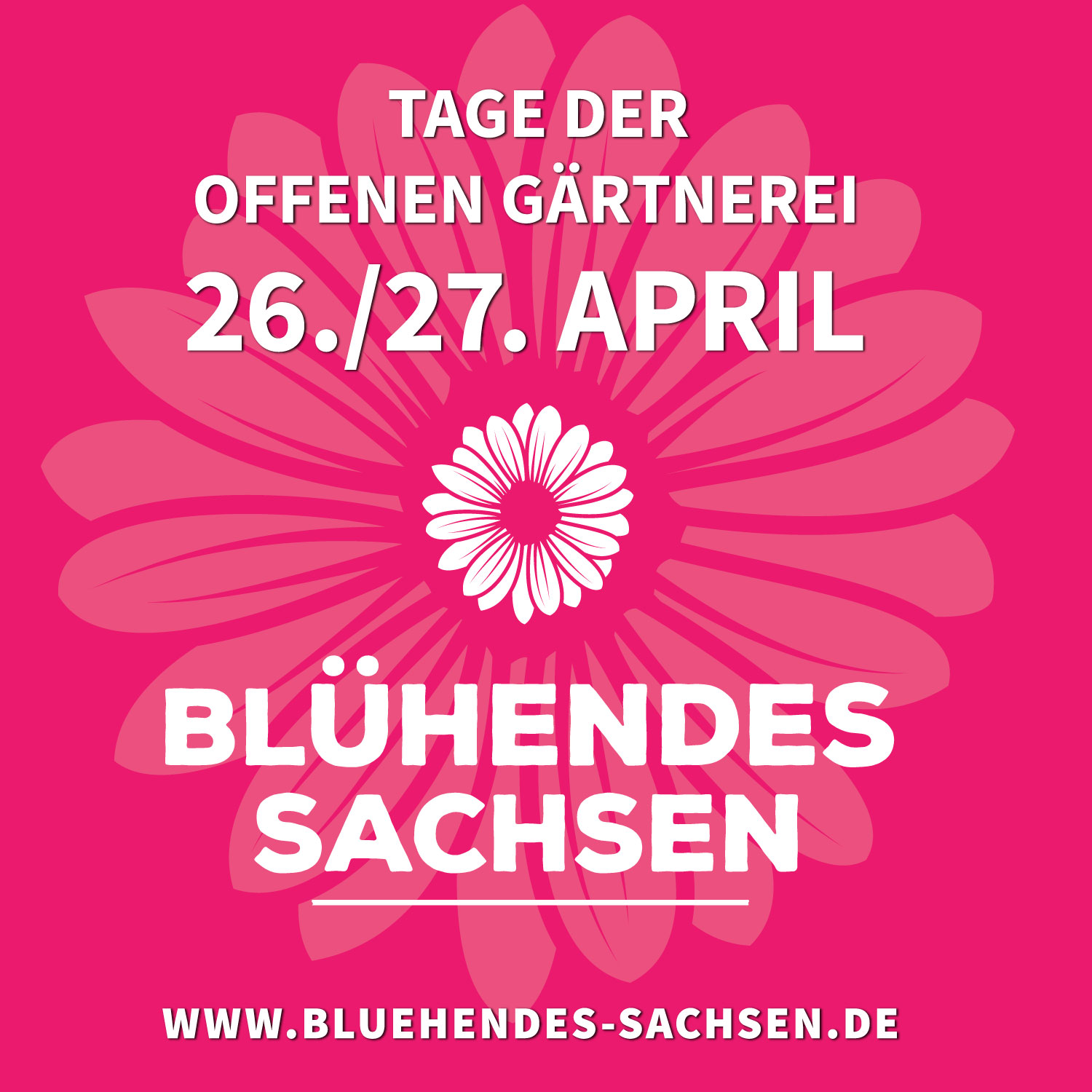 Blühendes Sachsen Bild: 1