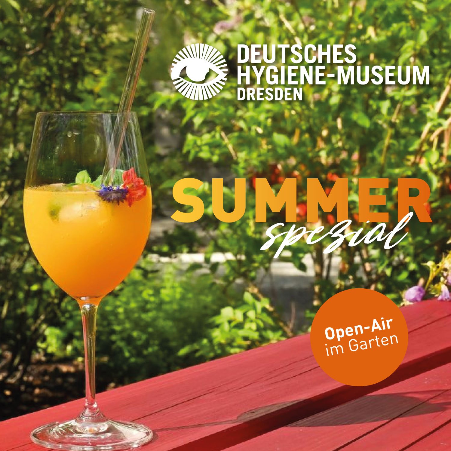 DHMD Summer Special Bild: 