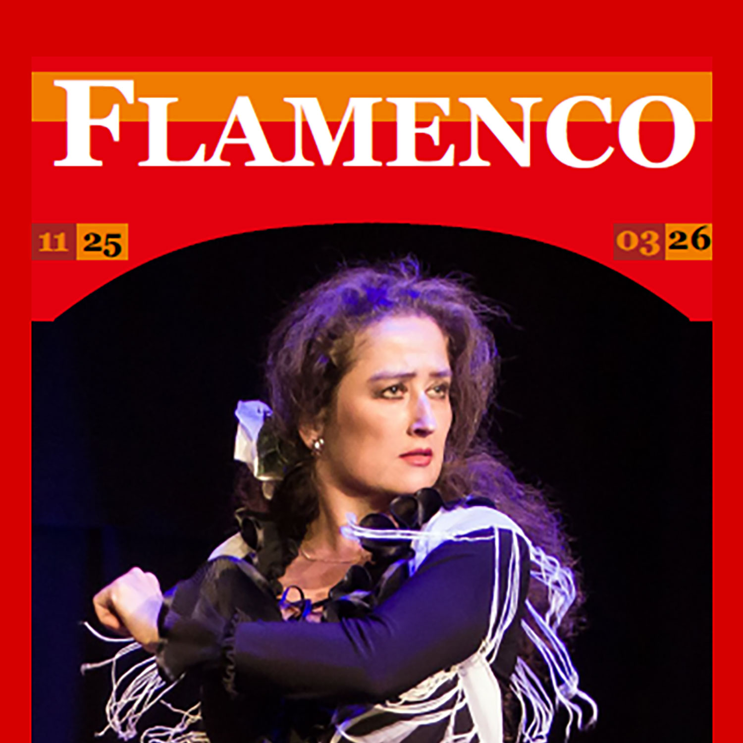 Flamenco Workshop Bild: 