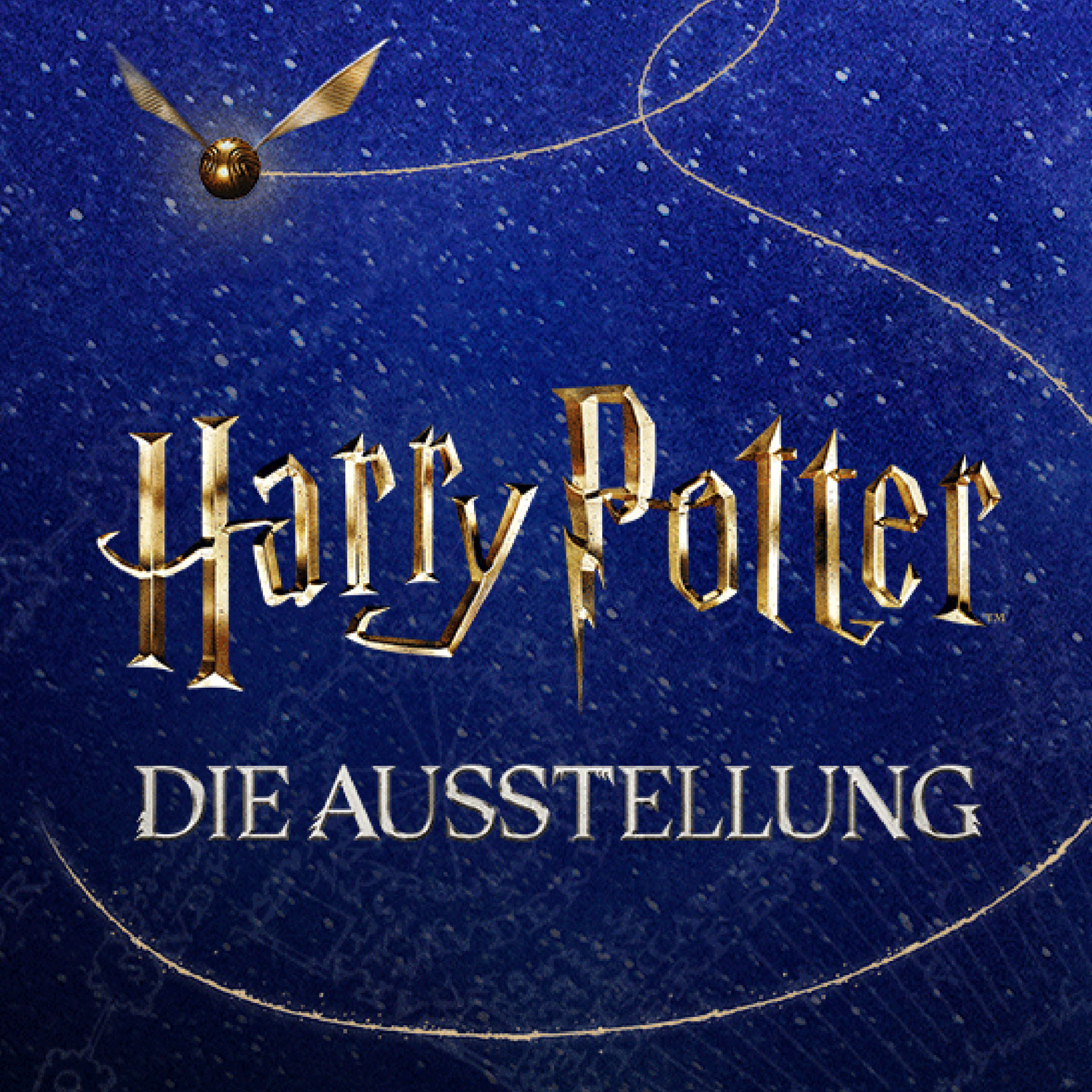 Harry Potter Experience Bild: 