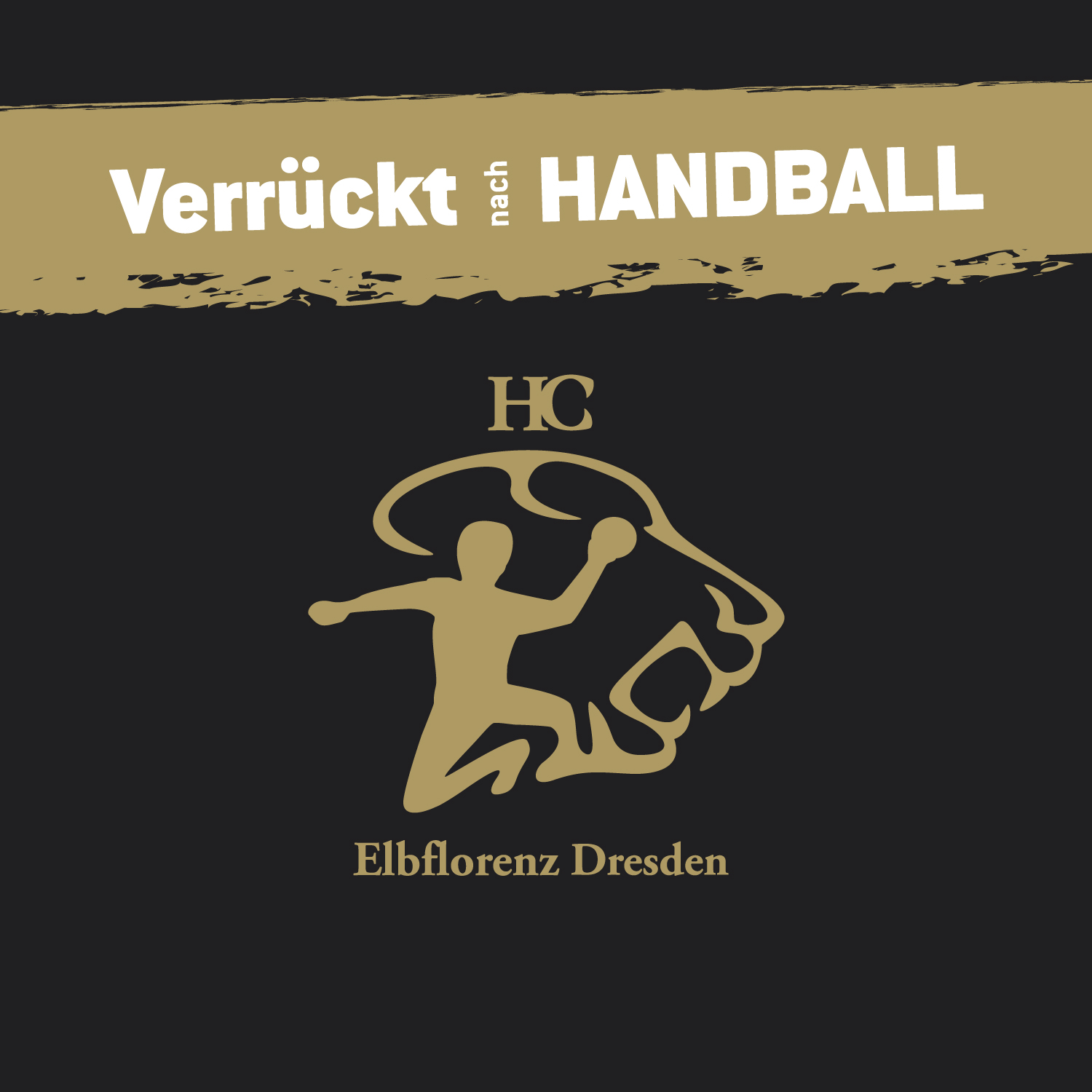 Handball - HC Elbflorenz Image: 